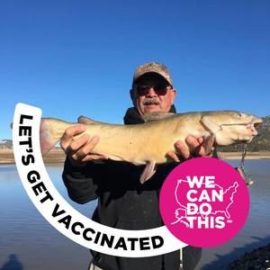 Meet your Posher, Gary